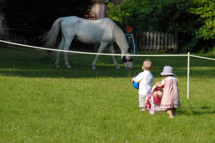Photographie de mariés Orléans