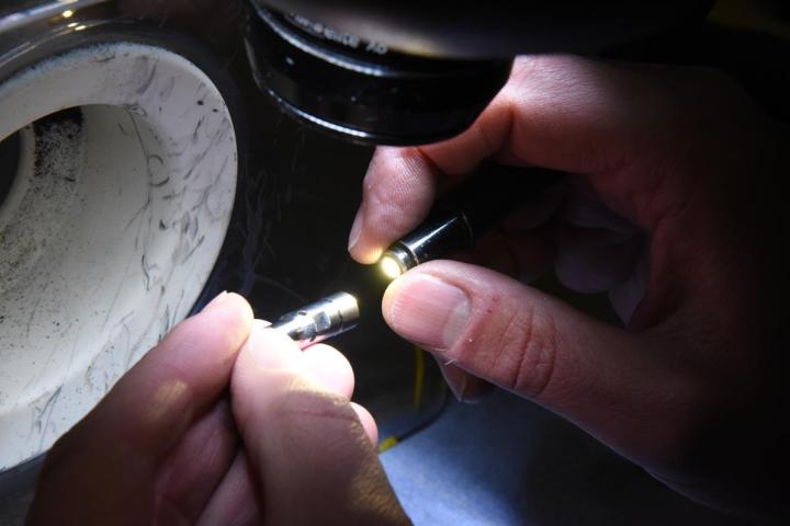 Photographe professionnel à Orléans